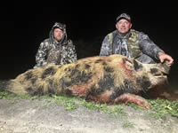 Trophy Boar Hunts with professional hunting guide Dan Moody Hunting Services in Texas