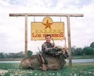Waterbuck Hunts with professional hunting guide Dan Moody Hunting Services in Texas
