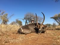 Waterbuck Hunts with professional hunting guide Dan Moody Hunting Services in Texas