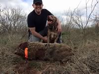 Meat Hog Hunts with professional hunting guide Dan Moody Hunting Services in Texas