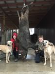 Meat Hog Hunts with professional hunting guide Dan Moody Hunting Services in Texas