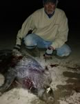 Meat Hog Hunts with professional hunting guide Dan Moody Hunting Services in Texas