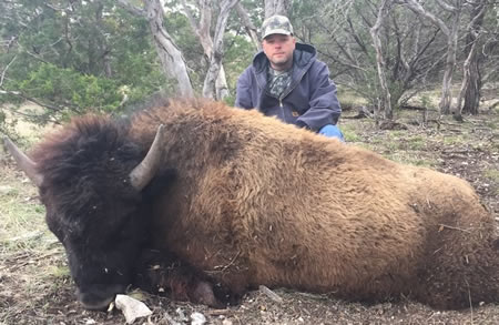 bison hunt in Texas