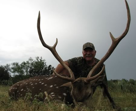 Axis Hunt in Texas