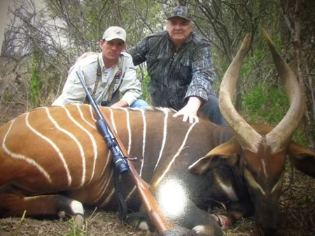 Bongo Hunt in Texas