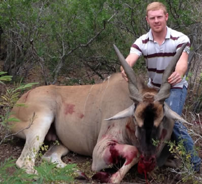 Eland Hunt in Texas