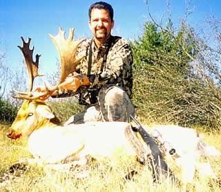 fallow hunt in Texas