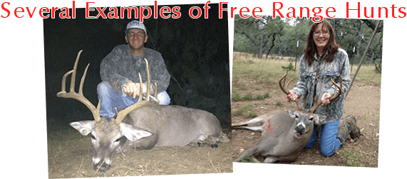Management white tail hunt in Texas