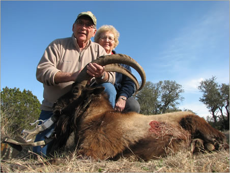 Ibex hunt in Texas