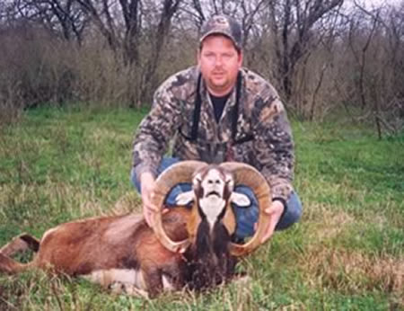 red sheep hunt in Texas